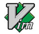 Vi